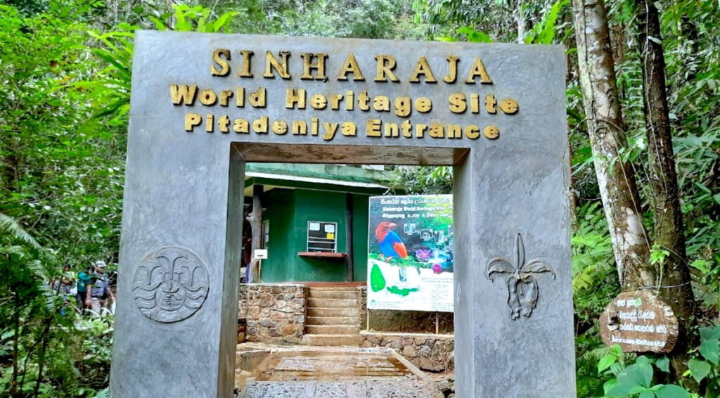 Entrance of the Sinharaja Forest