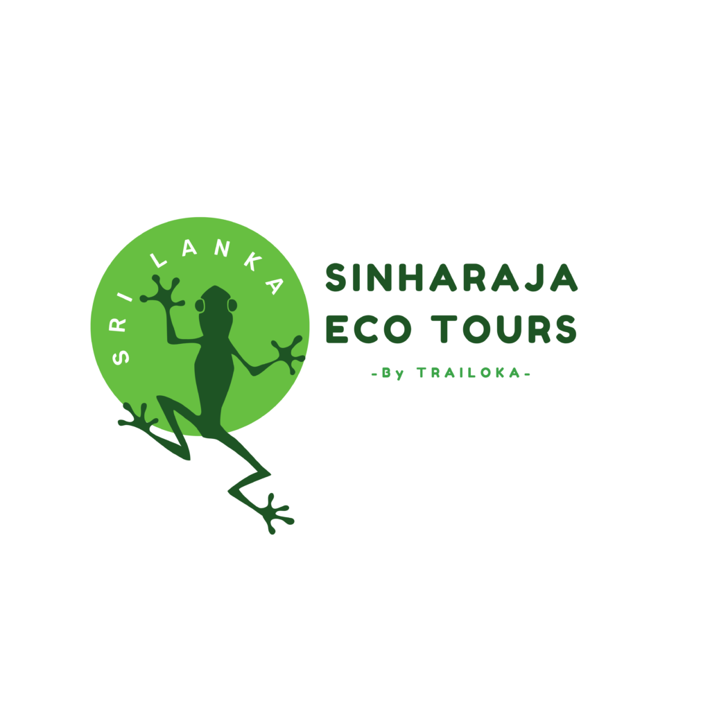 sinharaja eco tours (4)